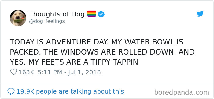 Dog Thoughts