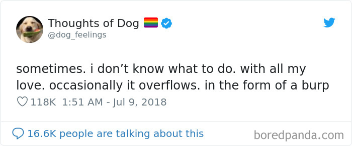 Dog Thoughts