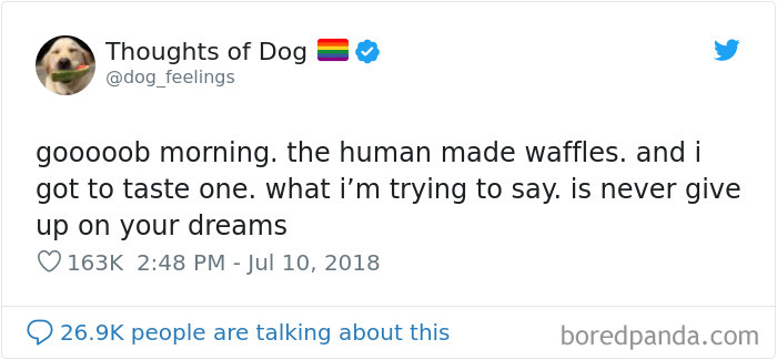 Dog Thoughts