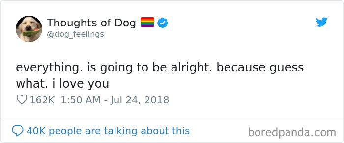 Dog Thoughts