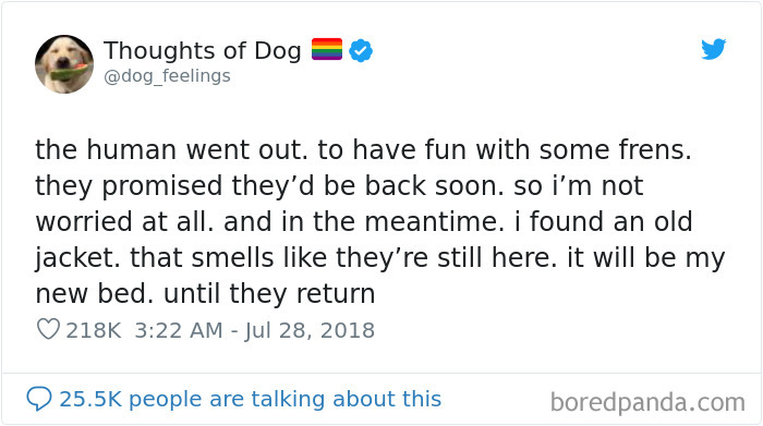 Dog Thoughts