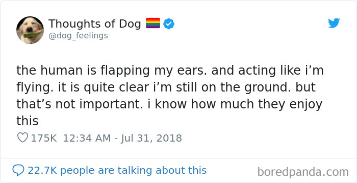 Dog Thoughts