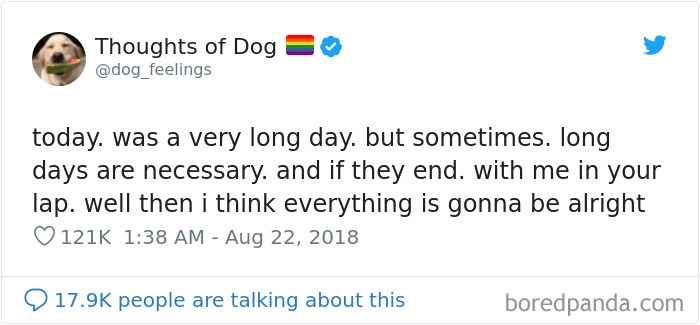 Dog Thoughts