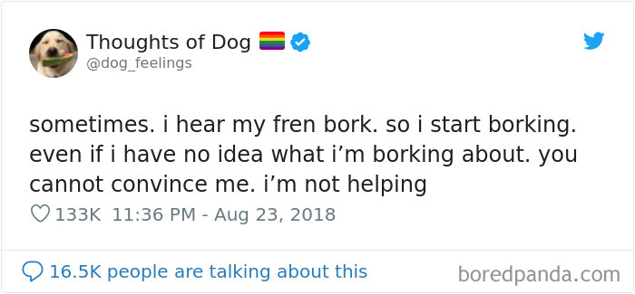 Dog Thoughts