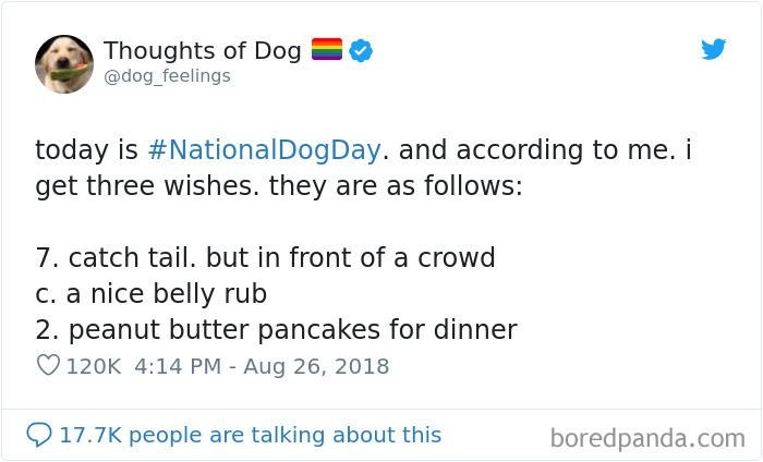Dog Thoughts