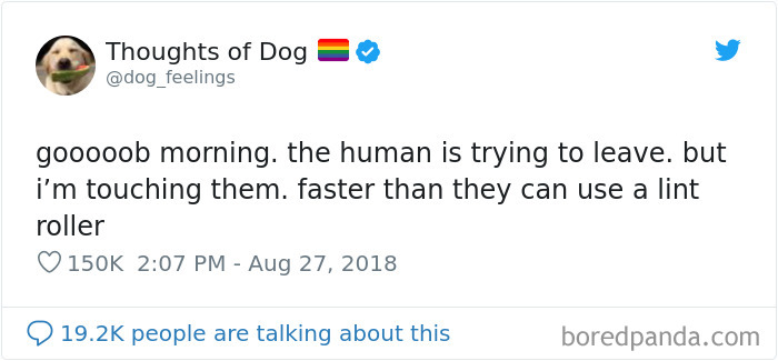 Dog Thoughts