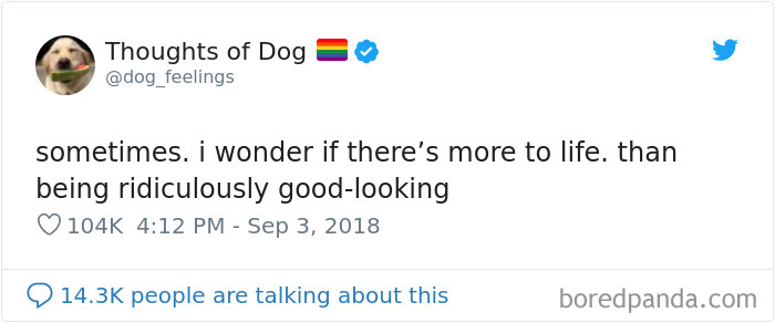 Dog Thoughts
