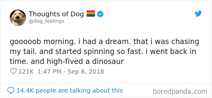 Dog Thoughts