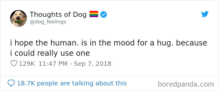 Dog Thoughts