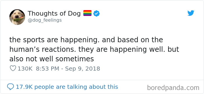 Dog Thoughts