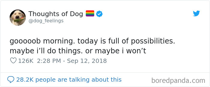 Dog Thoughts