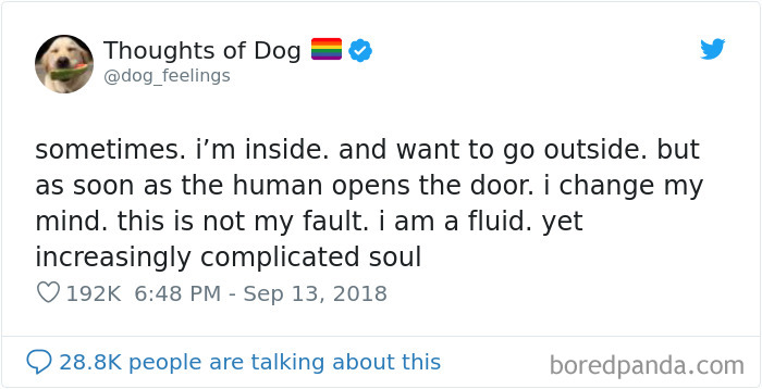 Dog Thoughts