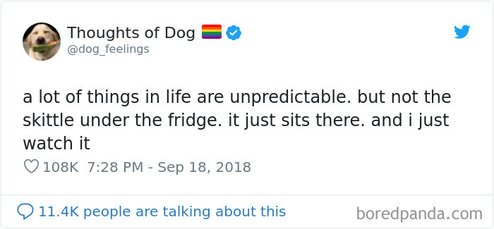 Dog Thoughts