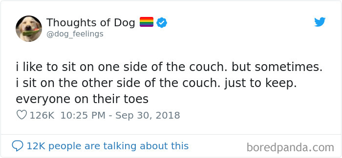 Dog Thoughts