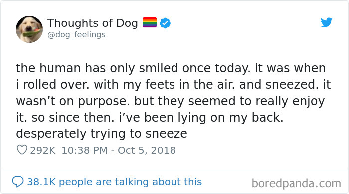 Dog Thoughts