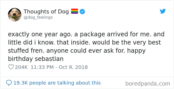 Dog Thoughts