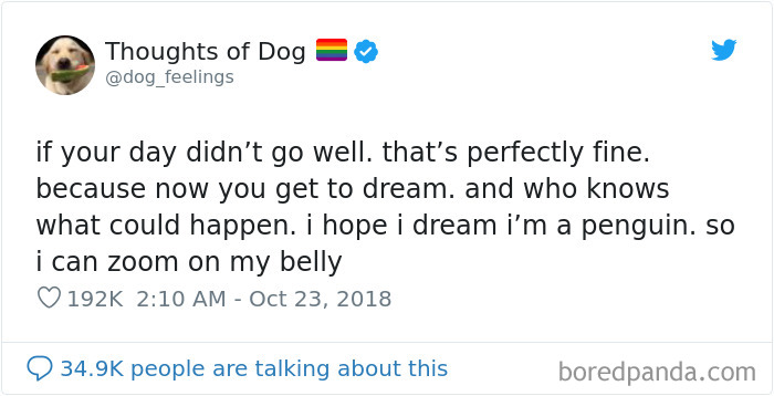 Dog Thoughts