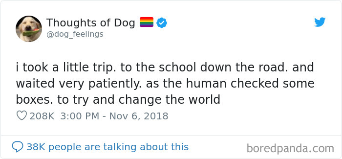Dog Thoughts