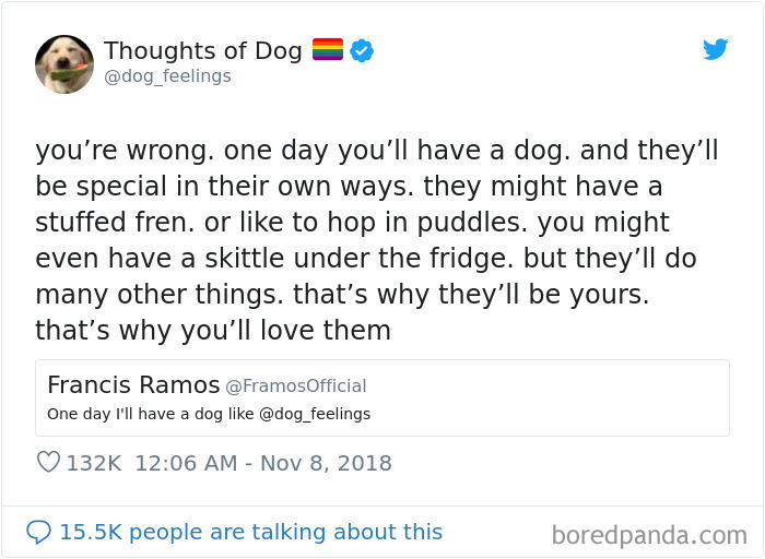 Dog Thoughts
