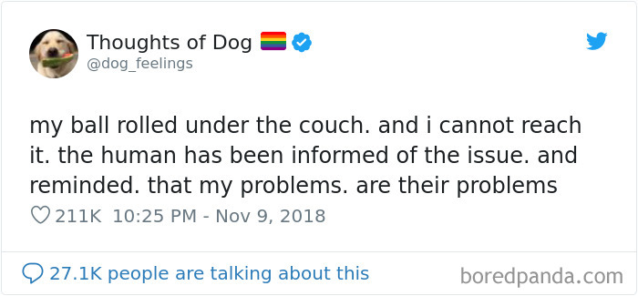 Dog Thoughts