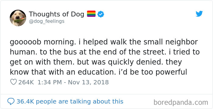 Dog Thoughts