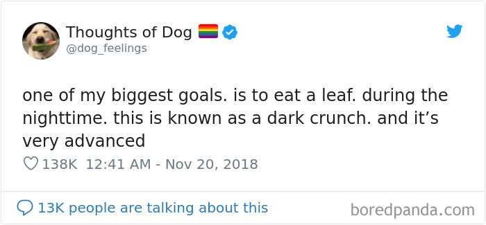 Dog Thoughts