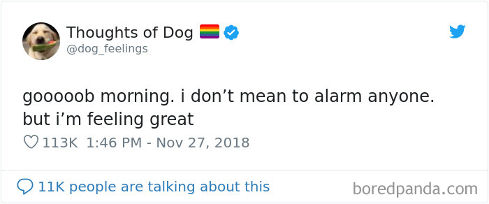 Dog Thoughts