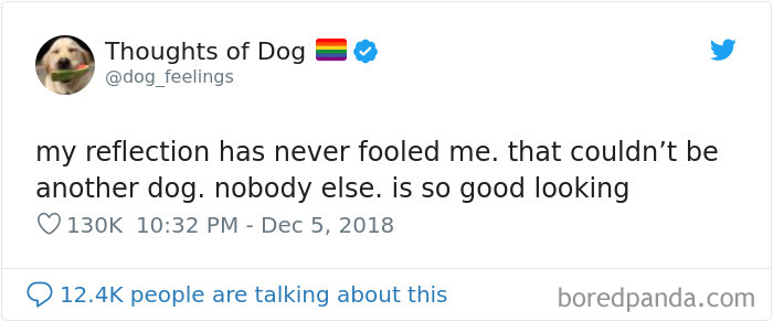 Dog Thoughts