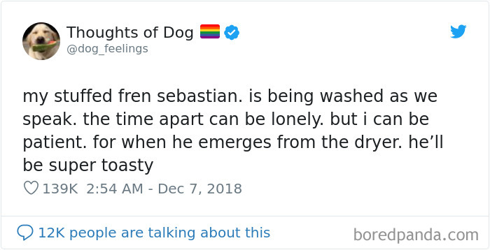 Dog Thoughts