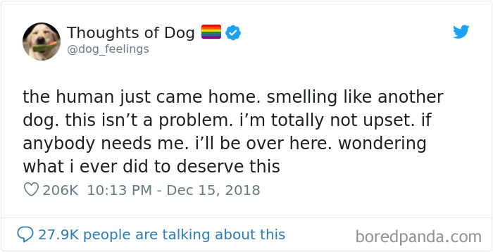 Dog Thoughts