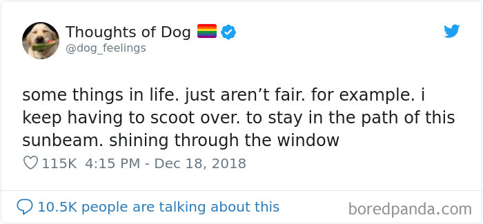 Dog Thoughts