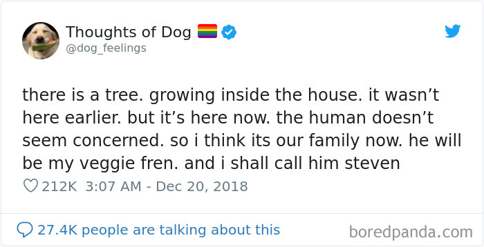 Dog Thoughts