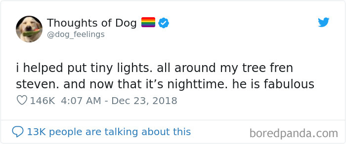 Dog Thoughts