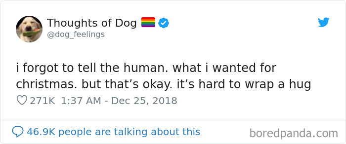 Dog Thoughts