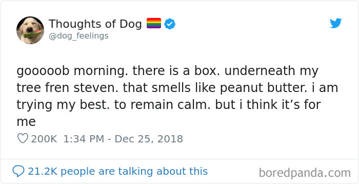 Dog Thoughts