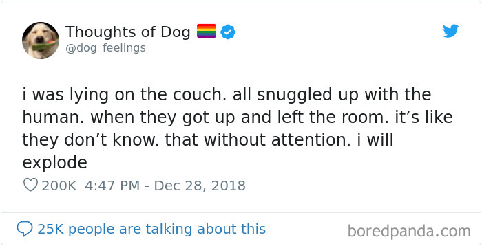 Dog Thoughts