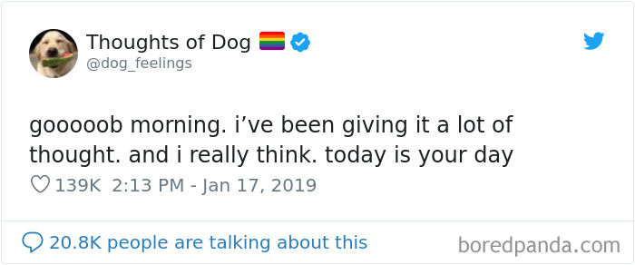 Dog Thoughts