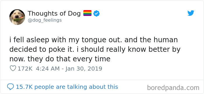 Dog Thoughts