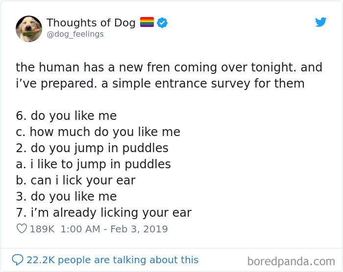 Dog Thoughts