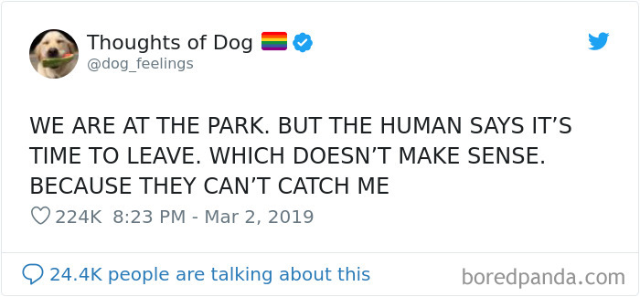 Dog Thoughts
