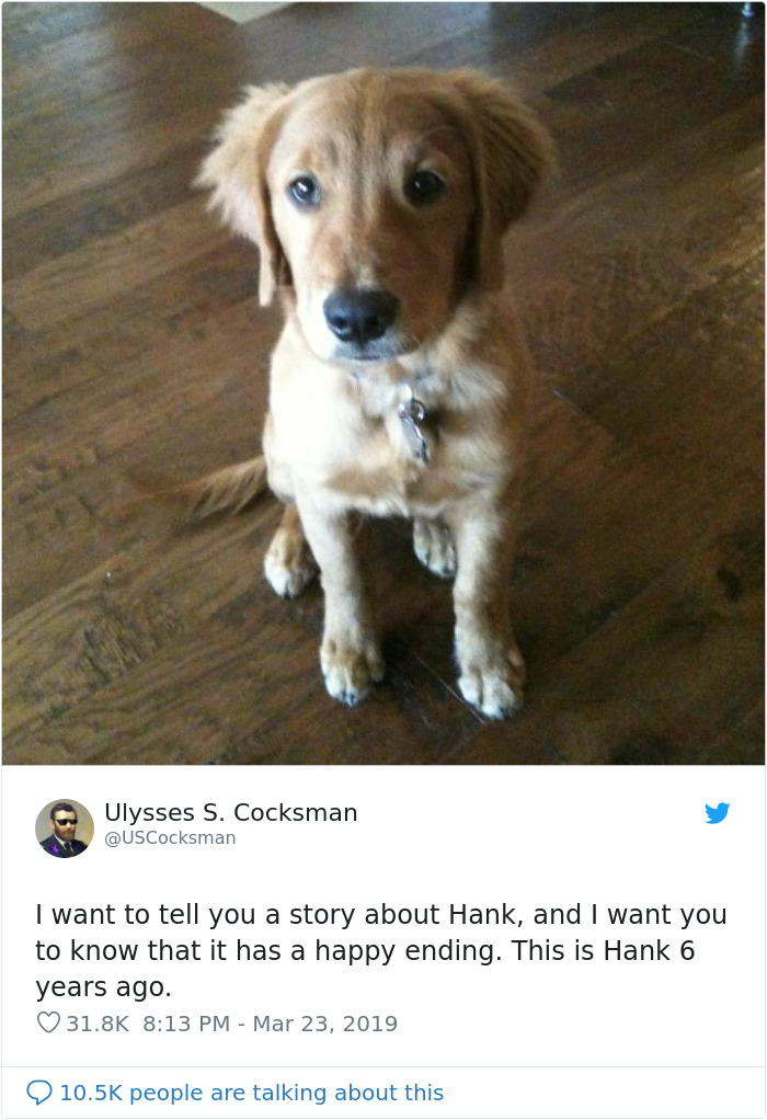 Man Shares A Heartwarming Story About How His Dog Saved His House From Burning Down Man Shares A Heartwarming Story About How His Dog Saved His House From Burning Down