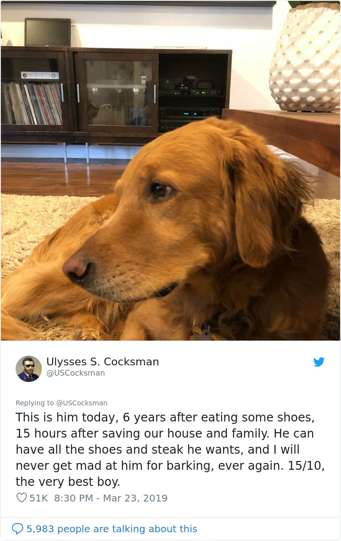 Man Shares A Heartwarming Story About How His Dog Saved His House From Burning Down Man Shares A Heartwarming Story About How His Dog Saved His House From Burning Down