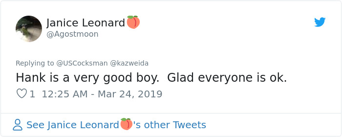 Man Shares A Heartwarming Story About How His Dog Saved His House From Burning Down Man Shares A Heartwarming Story About How His Dog Saved His House From Burning Down