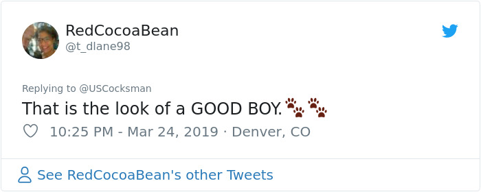 Man Shares A Heartwarming Story About How His Dog Saved His House From Burning Down Man Shares A Heartwarming Story About How His Dog Saved His House From Burning Down