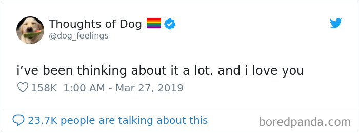 Dog Thoughts