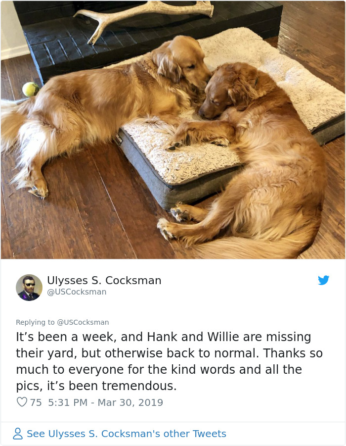 Man Shares A Heartwarming Story About How His Dog Saved His House From Burning Down Man Shares A Heartwarming Story About How His Dog Saved His House From Burning Down