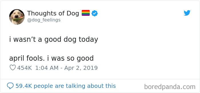 Dog Thoughts