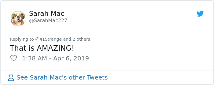 German Circus Uses Holograms Instead Of Live Animals For A Cruelty-Free Magical Experience