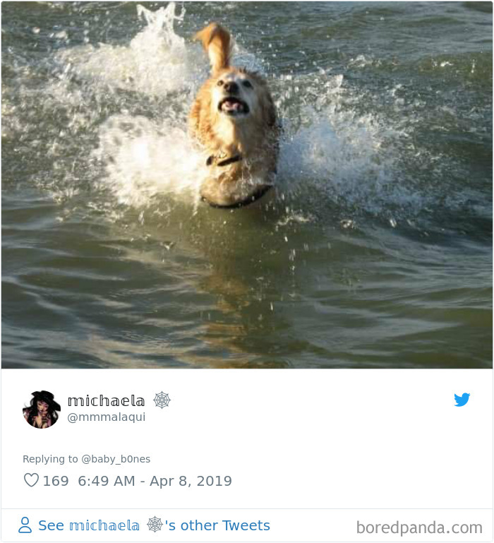 Least-Flattering-Pets