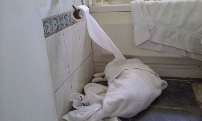 Alice Is Into Bathroom Art